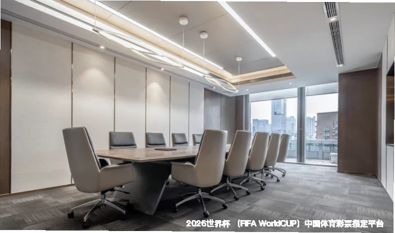 未来愿景与发展方向